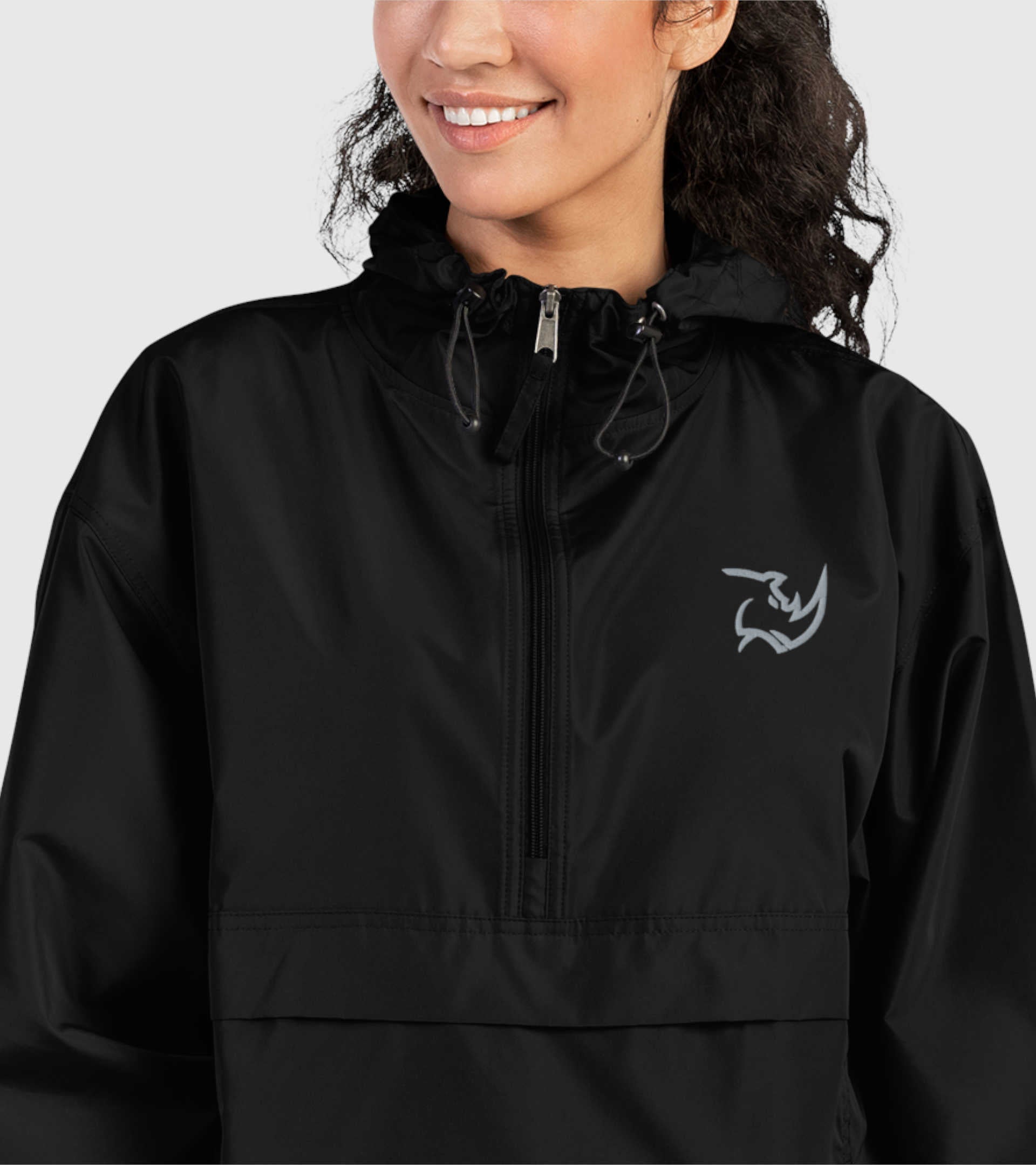 Windshield Light Pro